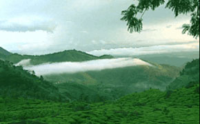 Vandiperiyar, Thekkady